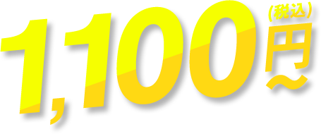 税込1,100円